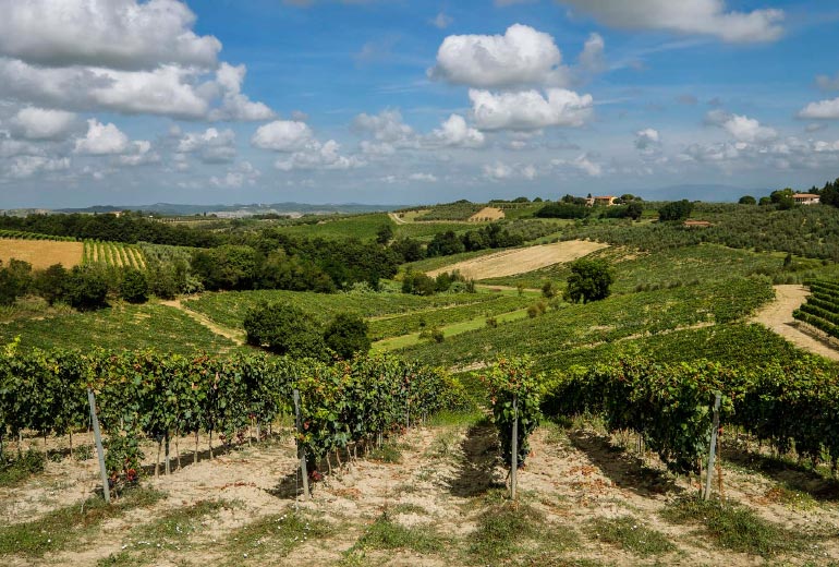 Barberino Val d'Elsa