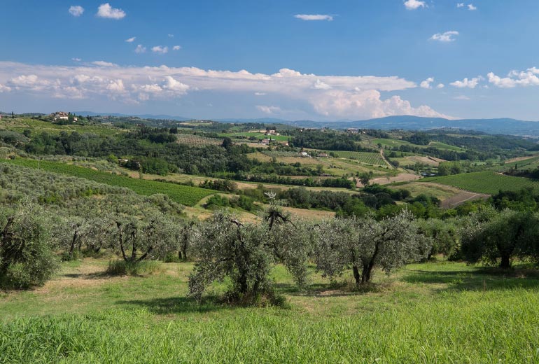 Barberino Val d'Elsa