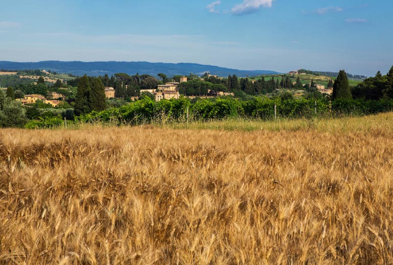 Barberino Val d'Elsa