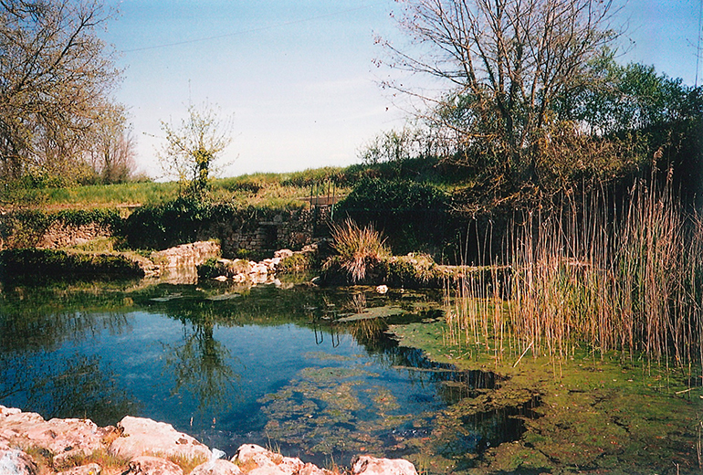 Colle